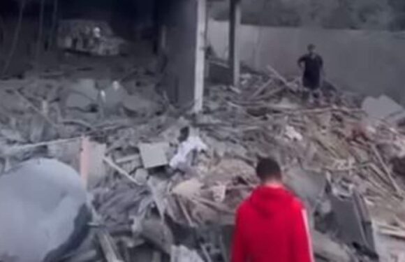 Londoner who lost 20 relatives in Gaza begs Sunak helps end bloodshed