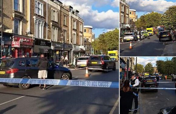 Man, 22, is stabbed to death in Brixton: Police launch investigation