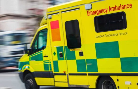 Man dies after being pulled from lake in Leigh-on-Sea as woman rescued | The Sun