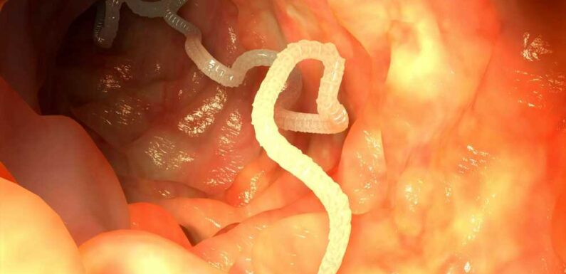 Man who deliberately ate tapeworms left fearing for his life after doctors’ stark warning | The Sun