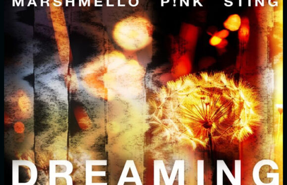 Marshmello, P!NK & Sting Join Forces On New Single 'Dreaming'
