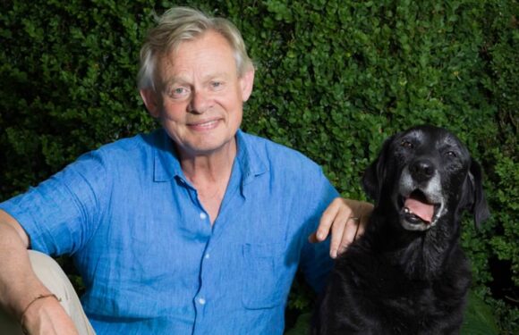Martin Clunes reveals 'instant need' to adopt retired guide dog