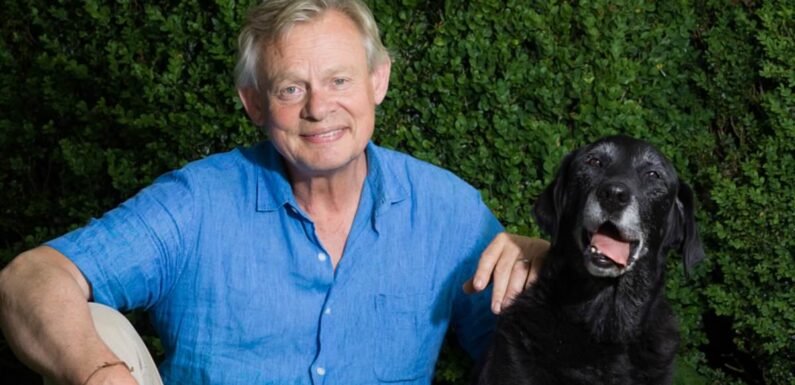 Martin Clunes reveals 'instant need' to adopt retired guide dog
