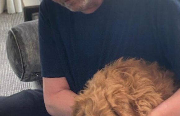 Matthew Perrys beloved dogs fate revealed after Friends stars tragic death at 54