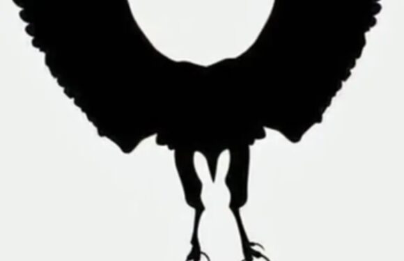 Mind-bending optical illusion reveals what you’re really like in a relationship – but it hinges on what you see first | The Sun