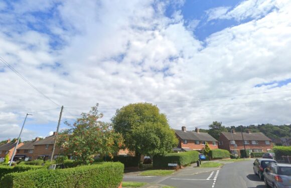 Mum and daughter rushed to hospital after they were savaged by out-of-control XL Bully at home in Baddeley Green | The Sun