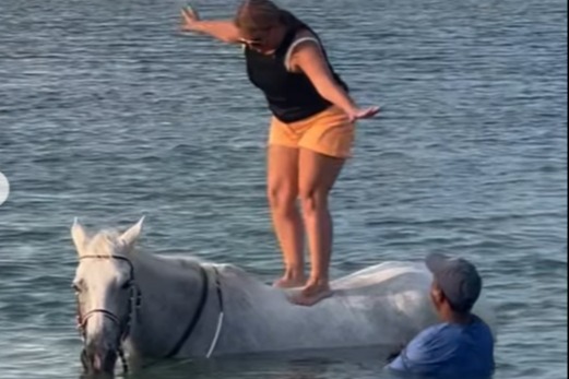 Mum-of-22 Sue Radford shamed for causing horse 'pain' after standing on its BACK during 22nd holiday in 22 months | The Sun