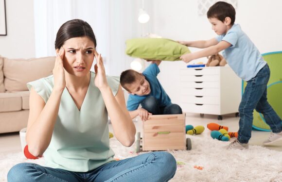 My partner's sister keeps dumping his nephews on us