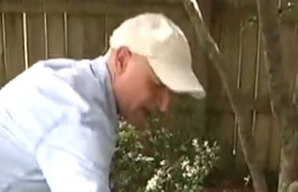 My simple solution will help you rake leaves and get rid of them in record time – always use the right tool for the job | The Sun