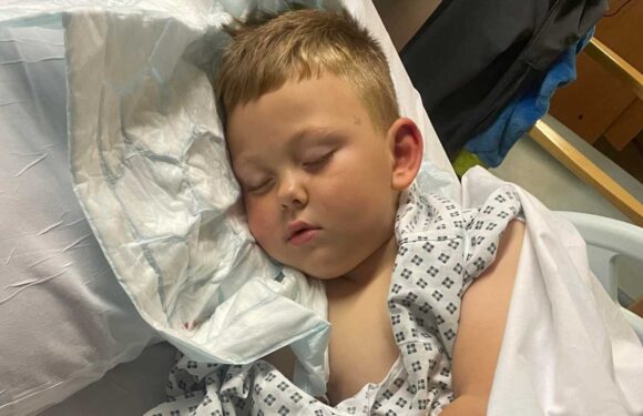 My son, 5, was mauled by 'out of control' bull terrier – I watched in horror as he was pulled across the road by beast | The Sun