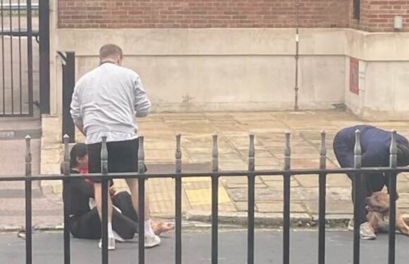 Nine out of 10 say XL Bully dogs should be banned as dogs attack again