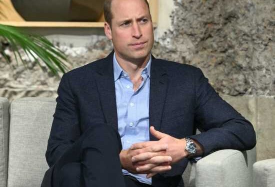 No, really, Prince William is obsessed with ‘finding’ Meghan’s engagement ring