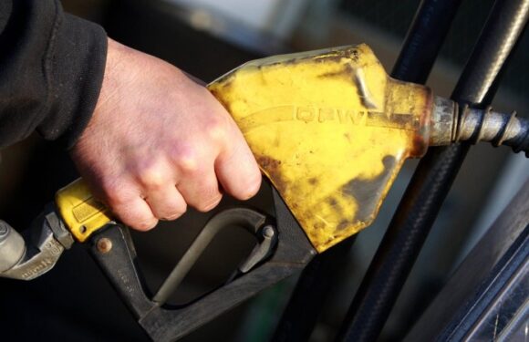 Odds increase for Melbourne Cup Day rate rise as inflation lifts