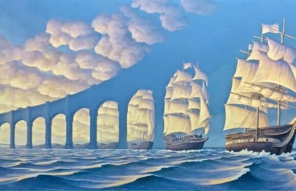 Optical illusion is ‘absolutely correct’ as it shows if you’re adventurous