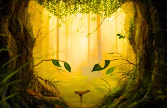 Optical illusion is ‘on point’ at showing if you are confident or naive