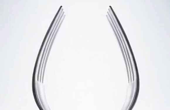 Optical illusion reveals whether you're stubborn or hate mind games