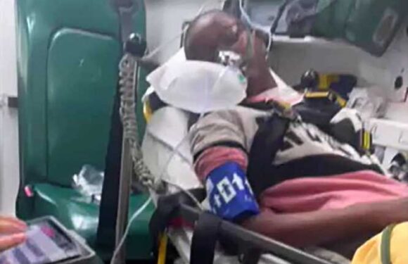 Our council flat is infested with tropical ANTS whose bites left my kid, 14, battling deadly sepsis – no one will help | The Sun