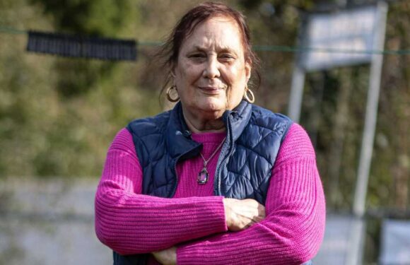 Our picturesque home was destroyed by newbuild developers… they built a privacy fence but it flooded our garden | The Sun