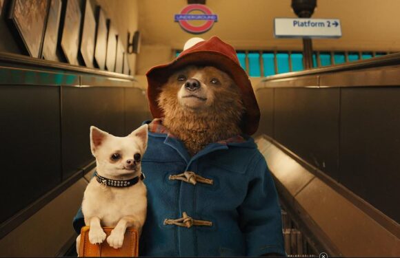 Paddington film producers choose to film in Colombia, not Peru
