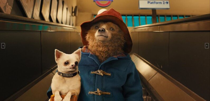 Paddington film producers choose to film in Colombia, not Peru