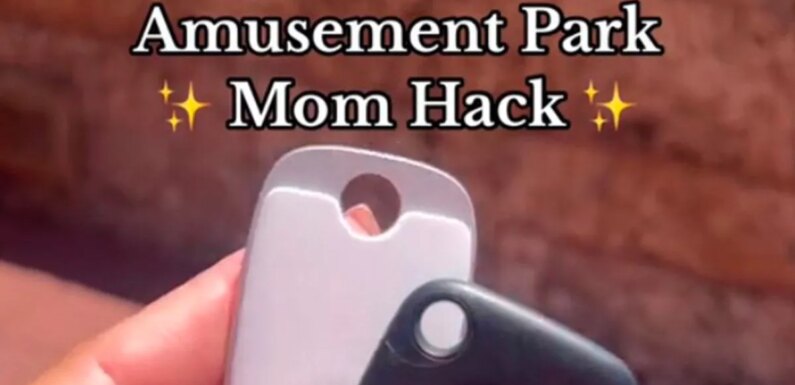 Parent shares ‘amusement park mum hack’ using Tile and there’s 30% off at Amazon