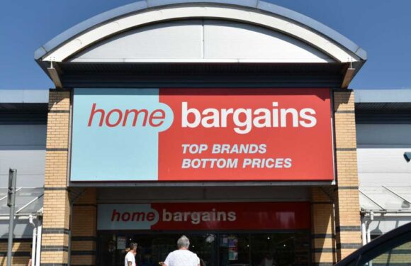 Parents are racing their way to Home Bargains to nab £37 baby essential scanning for £13 at the till | The Sun