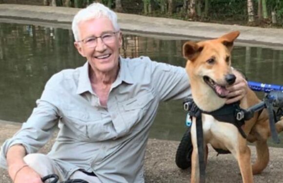 Paul O’Grady receives ‘fitting’ new honour as legacy lives on months after death