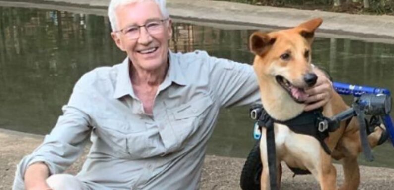 Paul O’Grady receives ‘fitting’ new honour as legacy lives on months after death