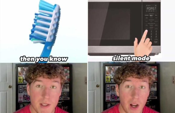 People just discovering hidden uses of everyday items – from blue bristles on a toothbrush to silent mode on a microwave | The Sun