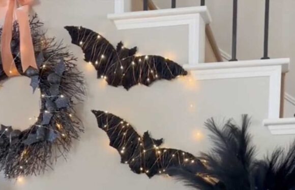 Pottery Barn's $79 Halloween decor was so pretty but too pricey – I made my own using Dollar Tree and Amazon buys | The Sun