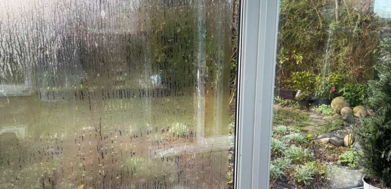 Prevent condensation on your windows with 2-ingredient solution that costs pennies – all you need to do is spray & wipe | The Sun