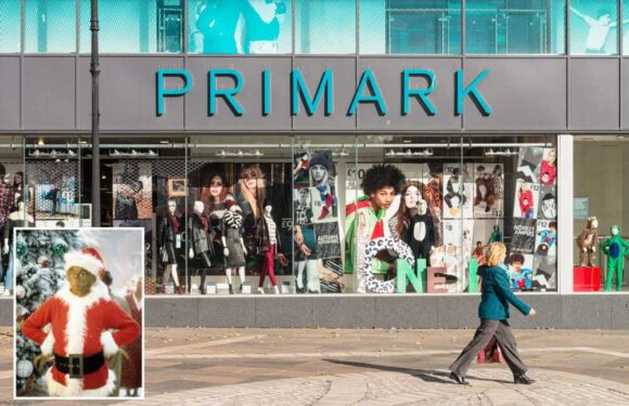 Primark fans are obsessed with the new Grinch range, including a must-have decoration everyone is scrambling to buy | The Sun
