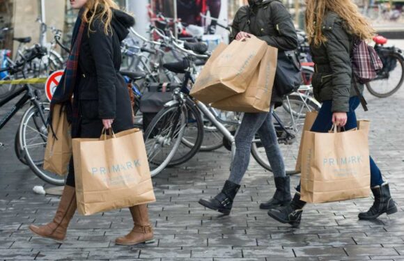 Primark fans rush to buy 'gorgeous' £15 jumper that's a dupe for £420 Toteme designer version | The Sun