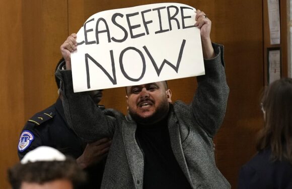 Pro-Palestine protester booted from hearing for Israel ambassador pick