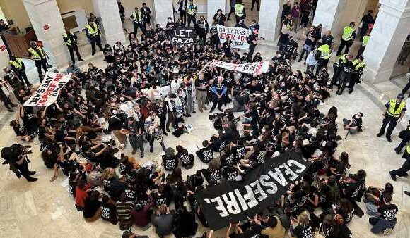 Pro-Palestinian protesters take over the Capitol