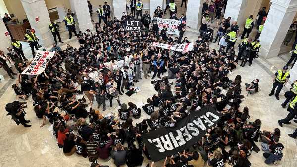 Pro-Palestinian protesters take over the Capitol