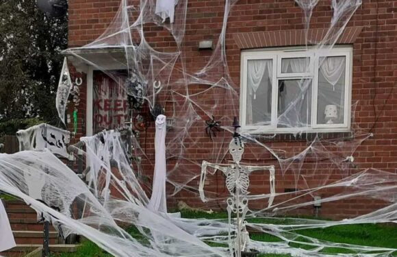 Proud DIY fan gives her home a mega Halloween makeover with an £8.99 Amazon buy – but everyone’s saying the same thing | The Sun