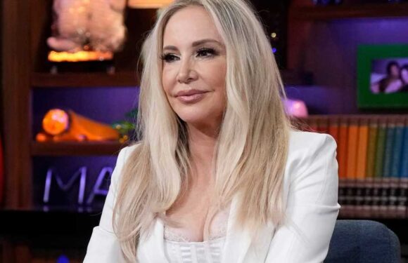 RHOC's Shannon Beador Speaks Out For First Time Since DUI and Hit-and-Run Arrest
