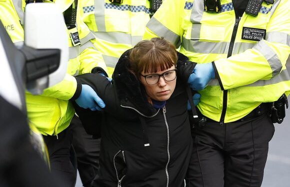 RICHARD LITTLEJOHN: JSO and anti-Israel rabble don't speak for Britain