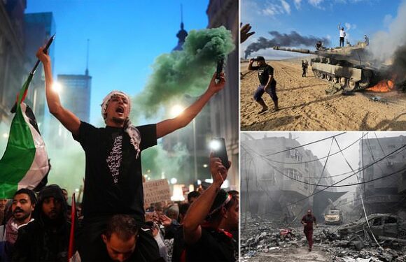 RICHARD LITTLEJOHN:How can the Left make excuses for a terrorist group