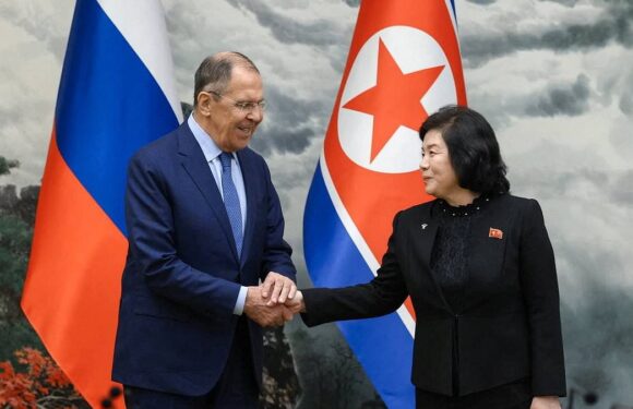 Russian-North Korean relations are at a 'new, strategic' level