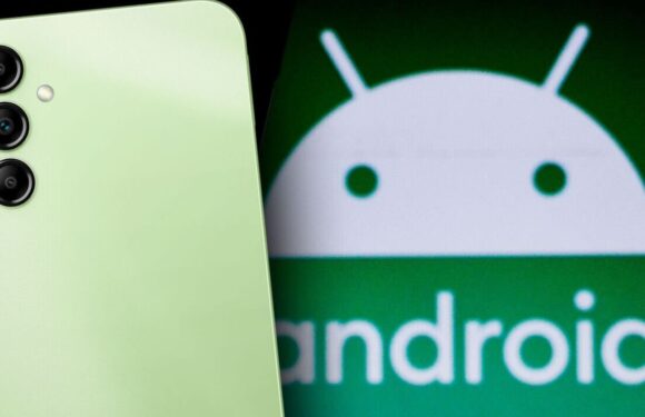 Samsung Galaxy users set to miss out on huge new Android update