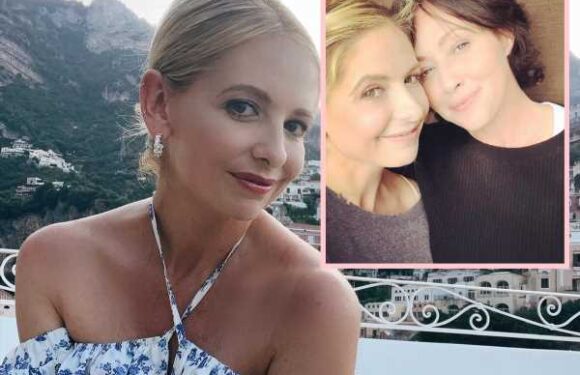 Sarah Michelle Gellar Shares Update On Shannen Doherty Amid Cancer Battle