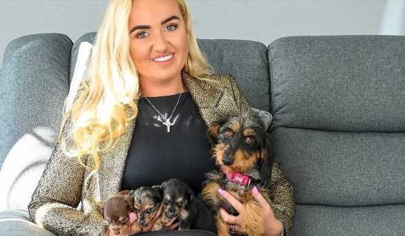 Sausage dog gives birth to 'record' 11 puppies