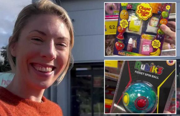 Savvy mum nabs loads of stocking fillers ready for Christmas from Home Bargains – and they’re all under £3 | The Sun