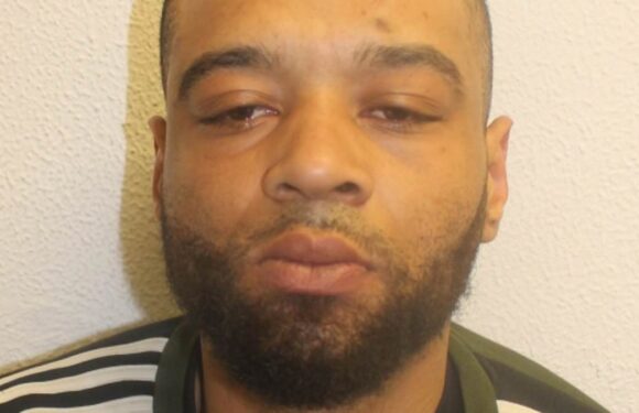 Serial rapist dubbed the 'Shoreditch Prowler' storms out of court