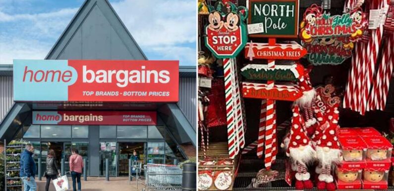 Shoppers are dashing to grab the stunning range of festive decor from Home Bargains, including a cute £4 festive gonk | The Sun