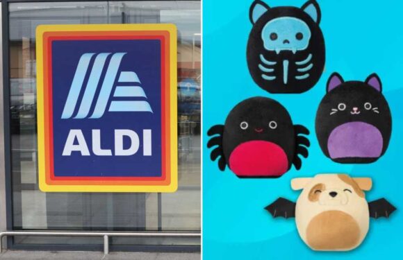 Shoppers are running to Aldi after spotting dupes of McDonald’s sell-out Halloween Squishmallow Happy Meal toys | The Sun