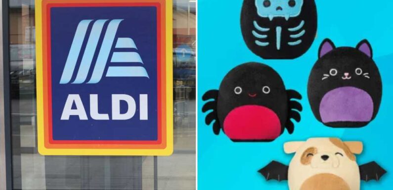 Shoppers are running to Aldi after spotting dupes of McDonald’s sell-out Halloween Squishmallow Happy Meal toys | The Sun