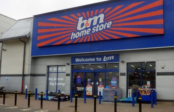 Shoppers race to B&M as they spot an air fryer reduced from £29 to just £15 | The Sun